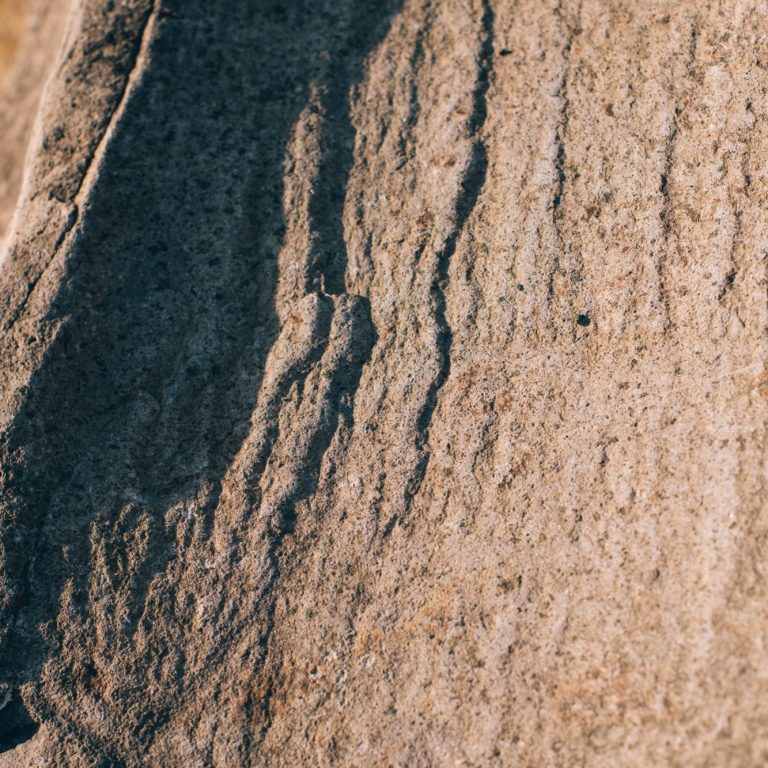Stemma con grappoli d'uva rossi e gialli, ramo di rosmarino e corona sopra.